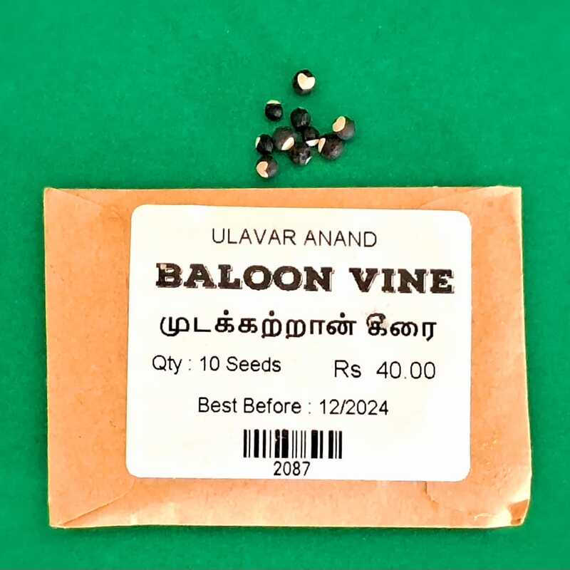 MUDAKATRAN KEERAI - BALLON VINE (முடக்கற்றான் கீரை) MUDAKATRAN KEERAI - BALLON VINE (முடக்கற்றான் கீரை)