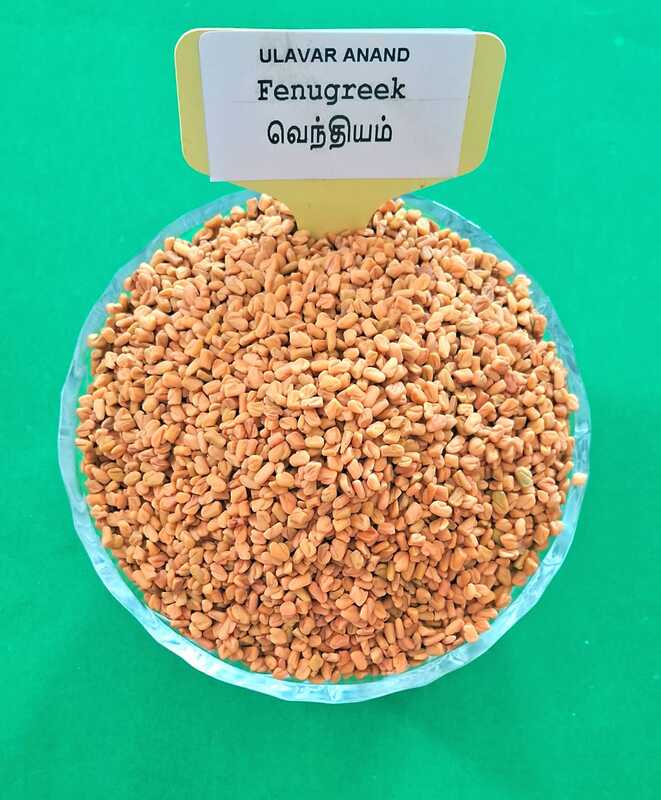 Fenugreek | வெந்தியம் 100 Gram