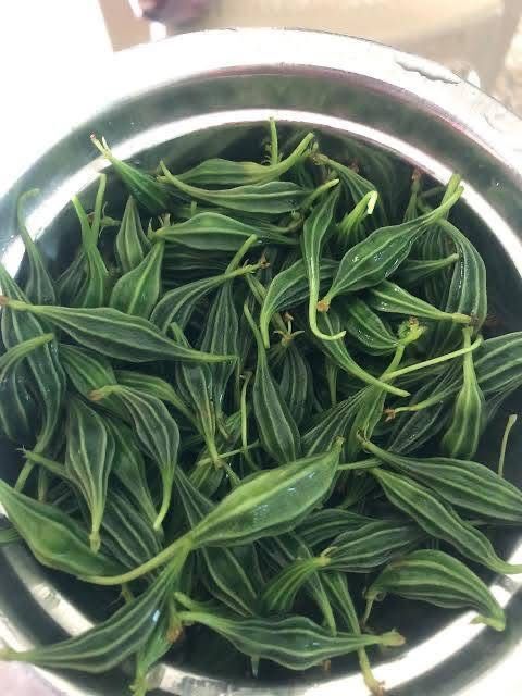Athalaikai Seed Kilanku | அதலக்காய் விதை கிழங்கு