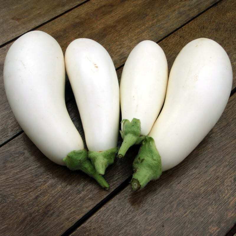 White Long Brinjal ( வெள்ளை நீட்ட கத்தரிக்காய்) White Long Brinjal ( வெள்ளை நீட்ட கத்தரிக்காய்)