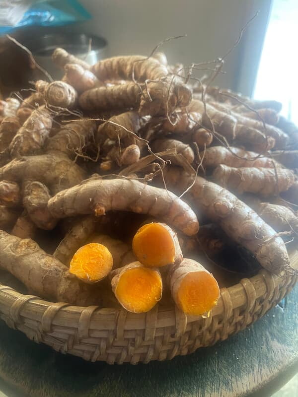 Virali Manjal Raw Turmeric Seed Virali Manjal Raw Turmeric Seed