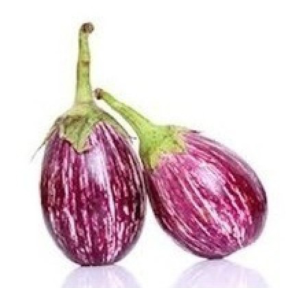 UJALA BRINJAL UJALA BRINJAL