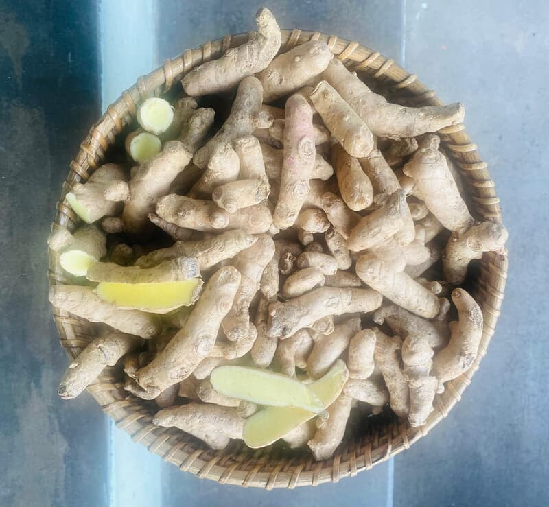 Mango Ginger Seed Mango Ginger Seed
