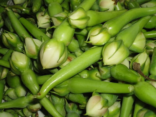 Green Mookuththi Avarai ( Clove Beans ) Green Mookuththi Avarai ( Clove Beans )