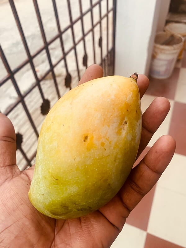 Mango - Kilimooku 1kg Mango - Kilimooku 1kg