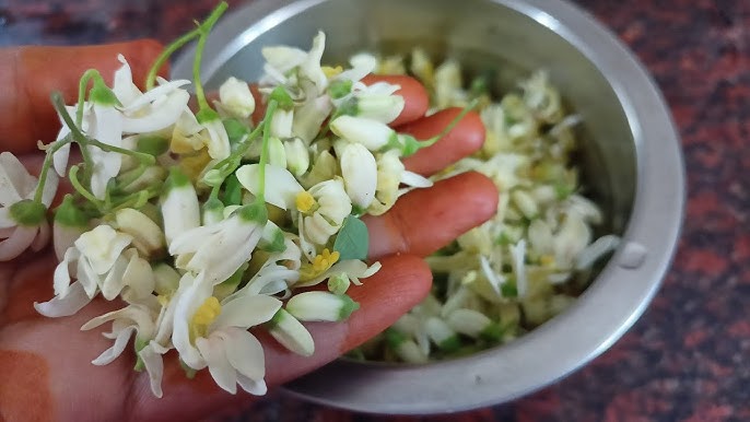 Moringa flower 100 G | முருங்கை பூ 100 G