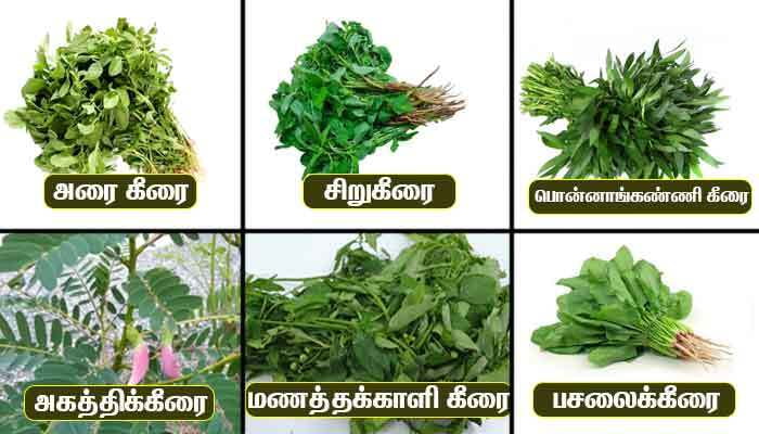 Greens Combo | கீரைகள் தொகுப்பு Greens Combo | கீரைகள் தொகுப்பு