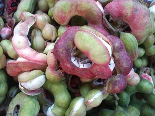Kodukka puli | Madras Thorn (கொடுக்காப்புளி ) Kodukka puli | Madras Thorn (கொடுக்காப்புளி )
