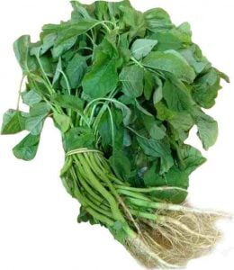 MULAI KEERAI GREEN ( AMARANTHUS ) (பச்சை முளைக்கீரை) MULAI KEERAI GREEN ( AMARANTHUS ) (பச்சை முளைக்கீரை)