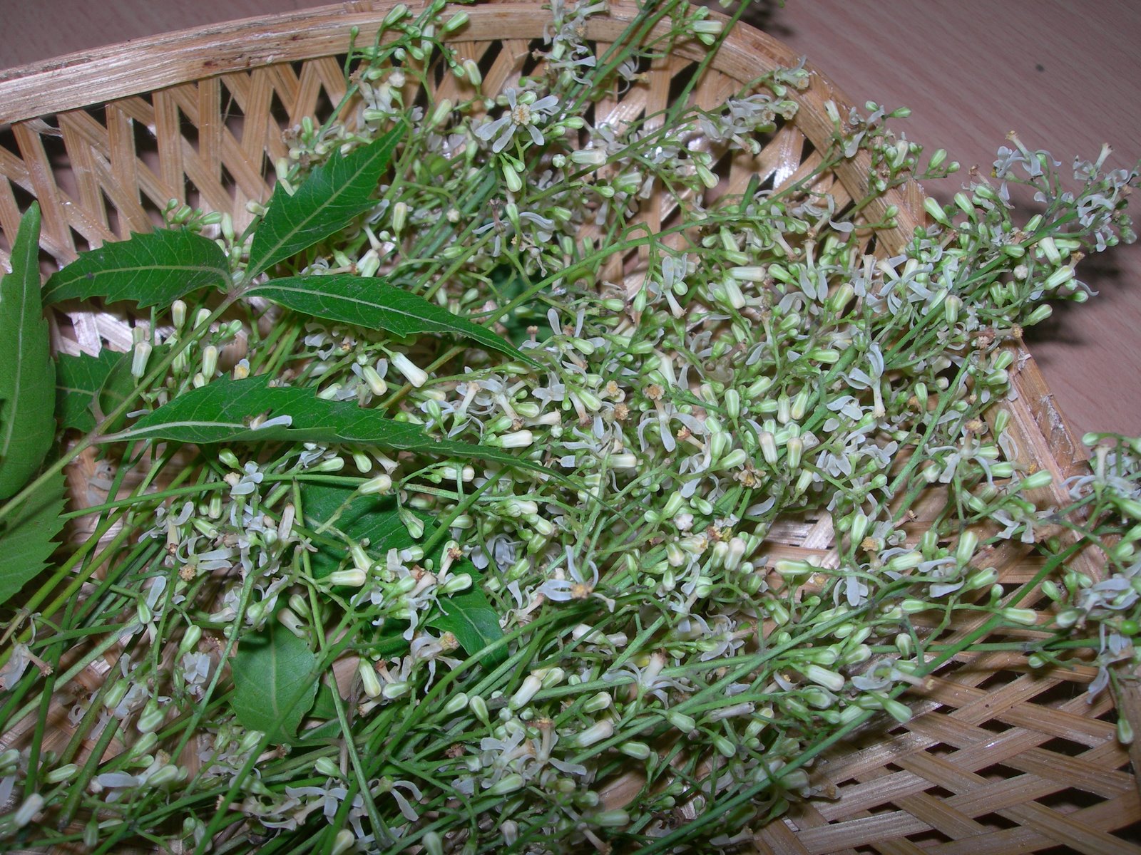 Neem flower 100 G | வேப்பம் பூ 100 G