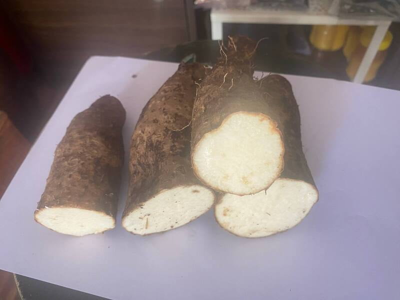 White Yam