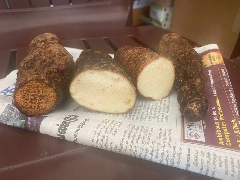 White Yam