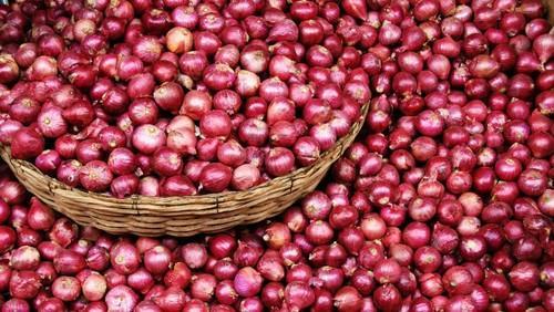 பெல்லாரி வெங்காயம் | Big Onion பெல்லாரி வெங்காயம் | Big Onion