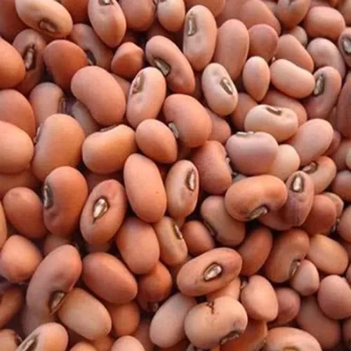 Thattai Bean  | தட்டை காராமணி