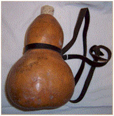 NEECHAL SURAI (நீச்சல் சுரைக்காய்)