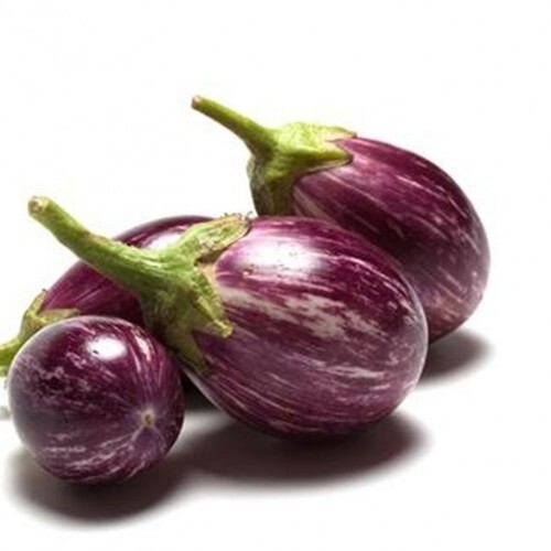 KOLLAMBATTI BRINJAL KOLLAMBATTI BRINJAL